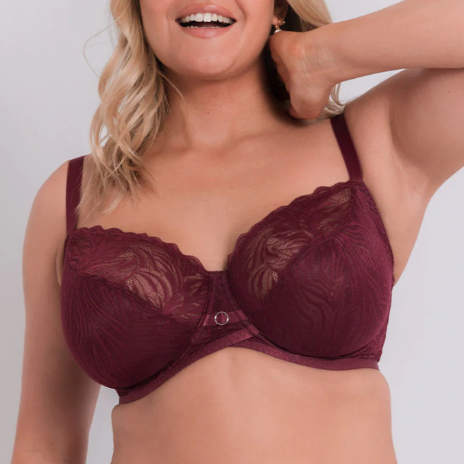 burgundy bra D cup - Unique Low Prices, Discover a New Shopping 2024