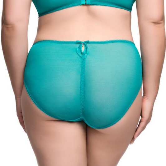 ZSA ZSA HIGH CUT BRIEF PEACOCK