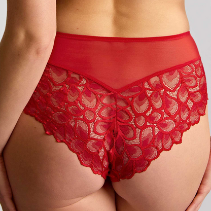 Red lace underwear on a neutral background