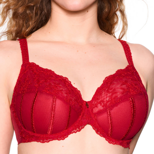 Red lace bra on a white background