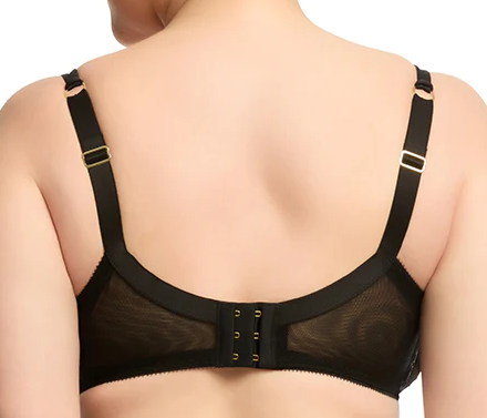 36D Bras  Buy Size 36D Bras at Betty and Belle Lingerie