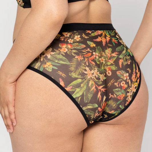 SHEER MESH HIGH CUT PANTY