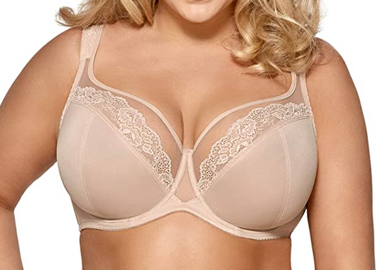 Scantilly Lovers Knot Thong - Fig/Latte Beige - Curvy Bras